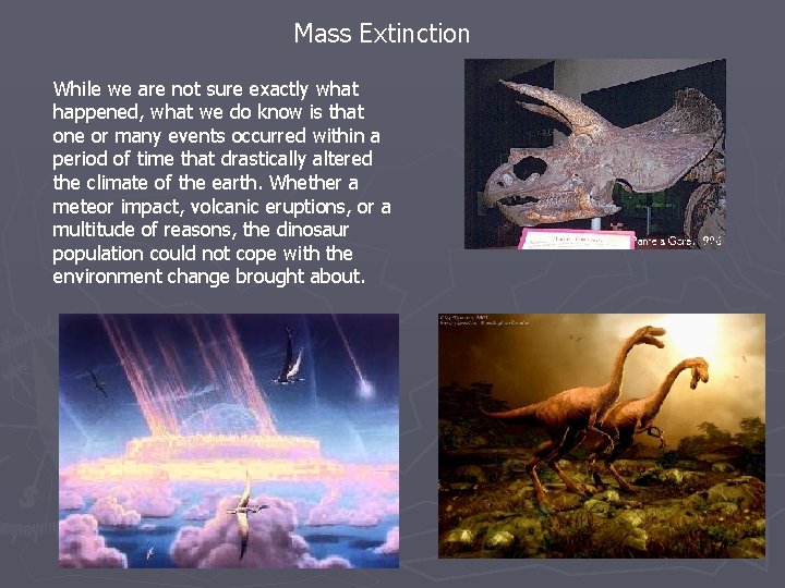 Mass Extinction While we are not sure exactly what happened, what we do know