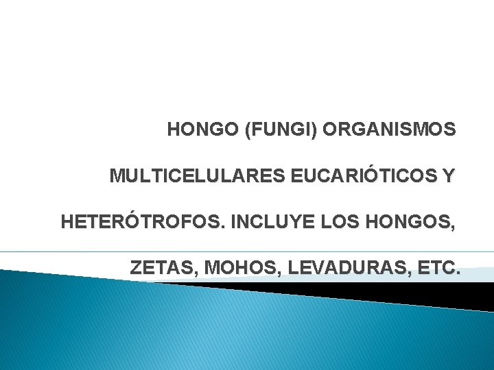HONGO (FUNGI) ORGANISMOS MULTICELULARES EUCARIÓTICOS Y HETERÓTROFOS. INCLUYE LOS HONGOS, ZETAS, MOHOS, LEVADURAS, ETC.