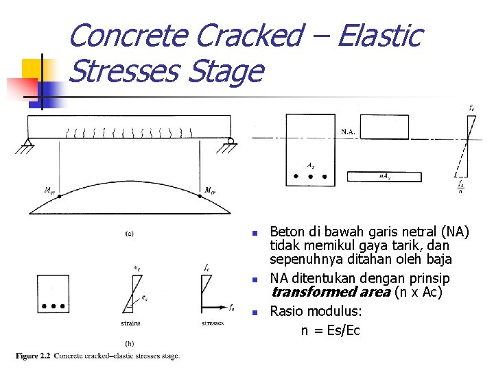 Concrete Cracked – Elastic Stresses Stage n n n Beton di bawah garis netral