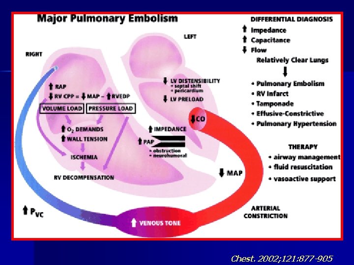 Chest. 2002; 121: 877 -905 
