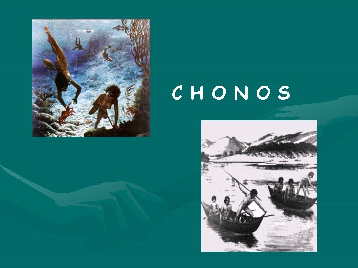 C H O N O S 