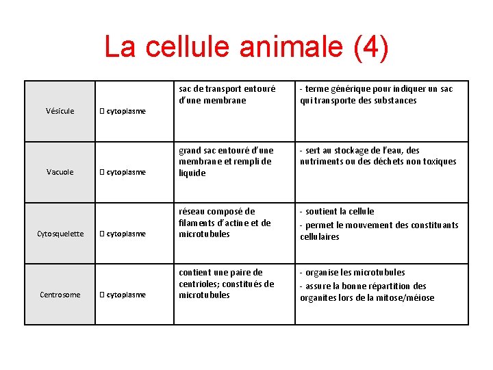 La cellule animale (4) Vésicule Vacuole Cytosquelette Centrosome sac de transport entouré d’une membrane