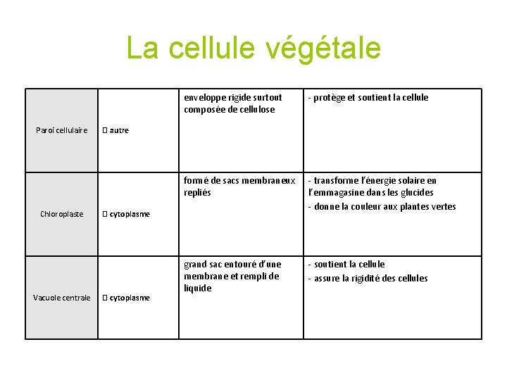 La cellule végétale Paroi cellulaire Chloroplaste Vacuole centrale enveloppe rigide surtout composée de cellulose