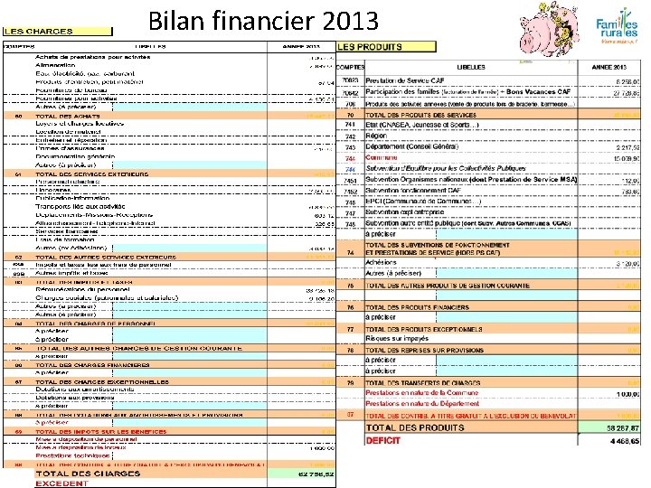 Bilan financier 2013 