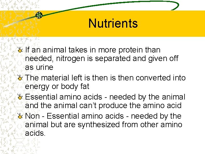Nutrients If an animal takes in more protein than needed, nitrogen is separated and