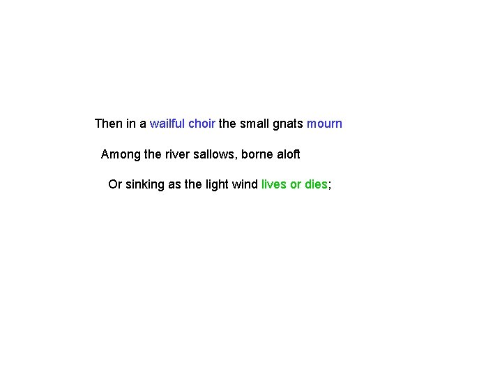 Then in a wailful choir the small gnats mourn Among the river sallows, borne