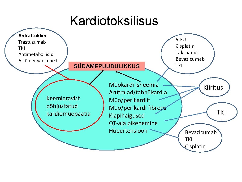 Kardiotoksilisus Antratsükliin Trastuzumab TKI Antimetaboliidid Alküleerivad ained SÜDAMEPUUDULIKKUS Keemiaravist põhjustatud kardiomüopaatia Müokardi isheemia Arütmiad/tahhükardia