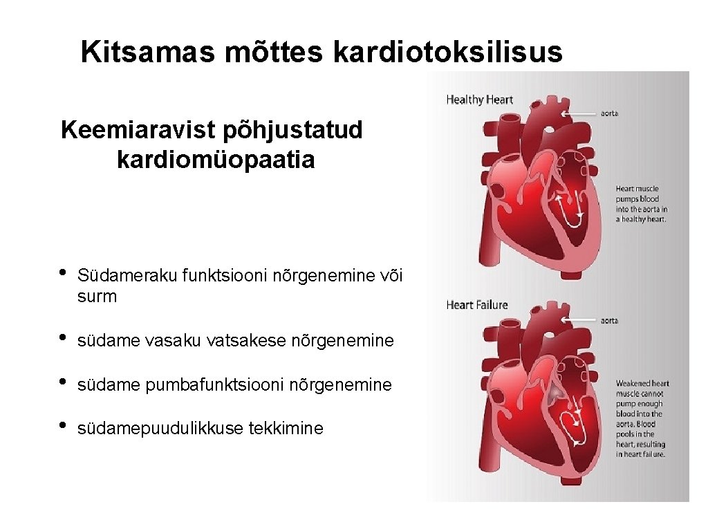 Kitsamas mõttes kardiotoksilisus Keemiaravist põhjustatud kardiomüopaatia • Südameraku funktsiooni nõrgenemine või surm • südame
