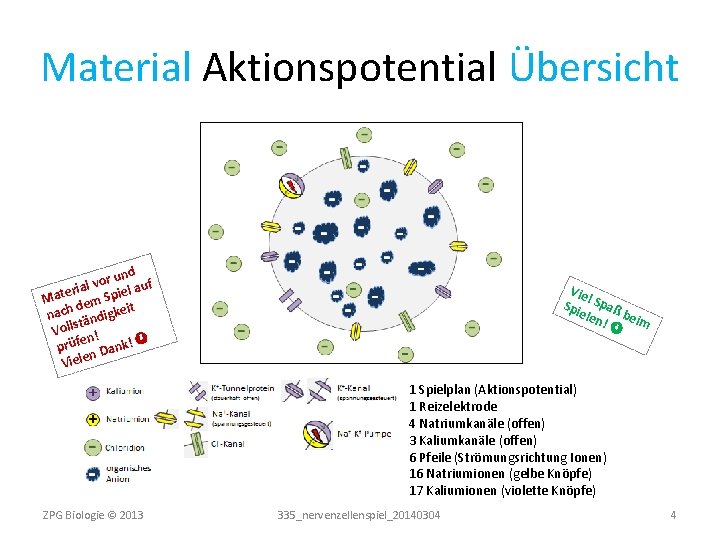 Material Aktionspotential Übersicht r und uf o v l la eria Mat em Spie