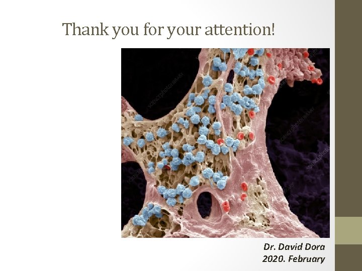 Thank you for your attention! Dr. David Dora 2020. February 