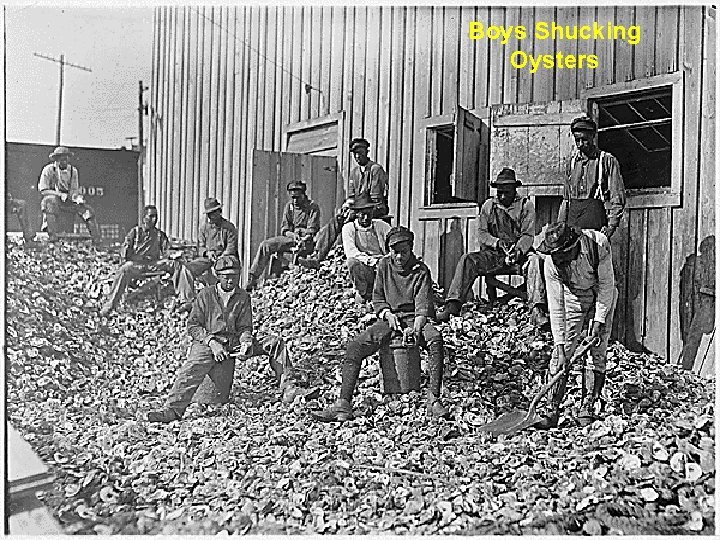 Boys Shucking Oysters 