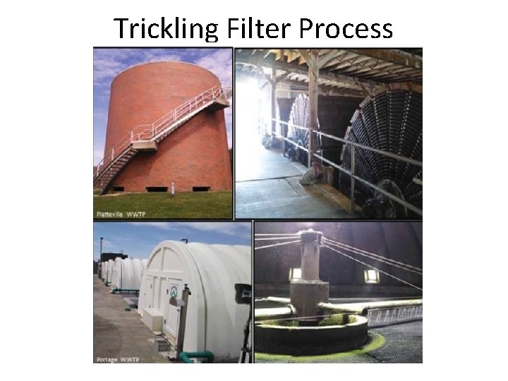 Trickling Filter Process 