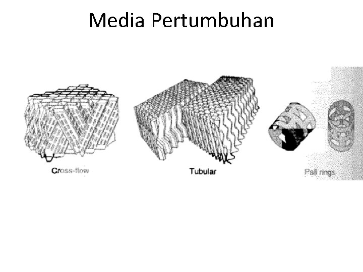 Media Pertumbuhan 