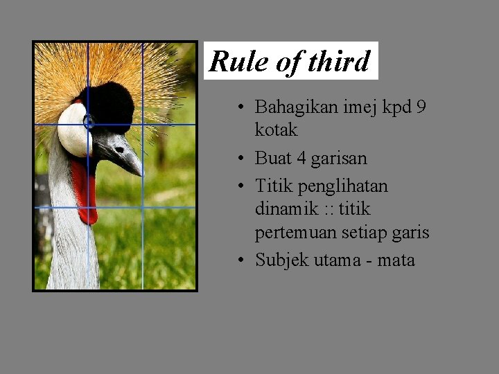 Rule of third • Bahagikan imej kpd 9 kotak • Buat 4 garisan •