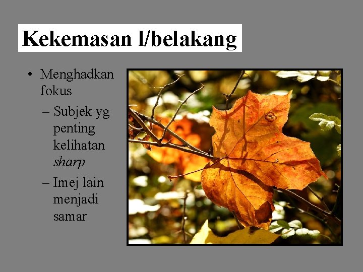 Kekemasan l/belakang • Menghadkan fokus – Subjek yg penting kelihatan sharp – Imej lain