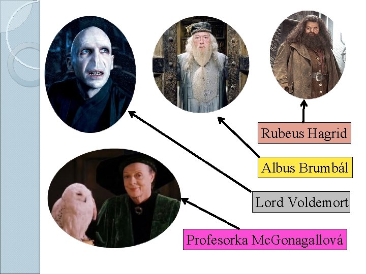 Rubeus Hagrid Albus Brumbál Lord Voldemort Profesorka Mc. Gonagallová 