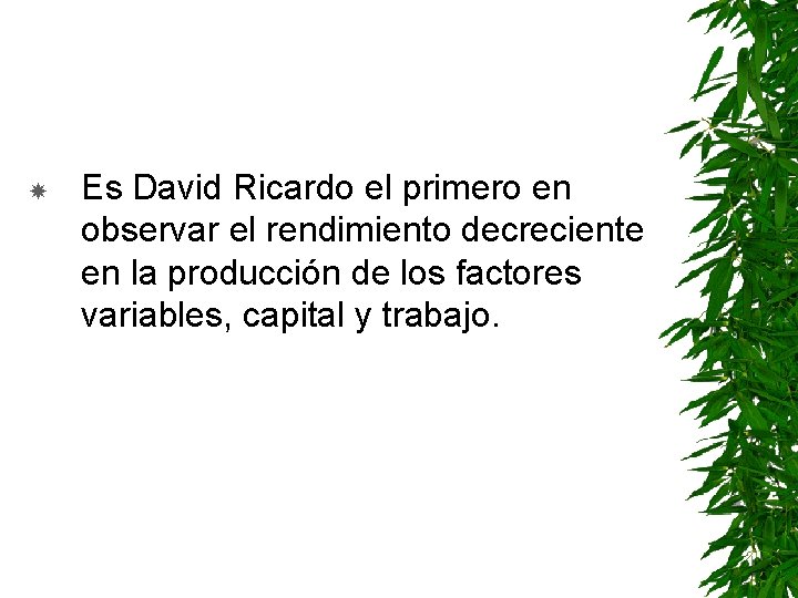  Es David Ricardo el primero en observar el rendimiento decreciente en la producción
