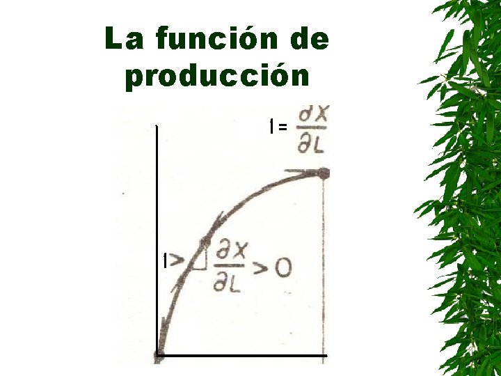 La función de producción 