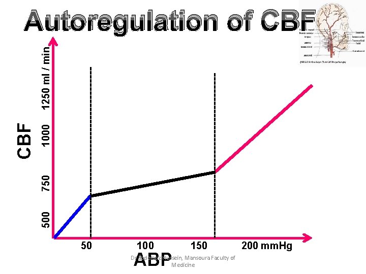 1000 750 500 CBF 1250 ml / min Autoregulation of CBF 50 100 ABP