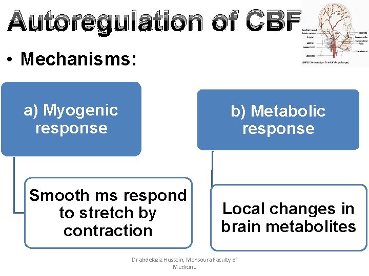 Autoregulation of CBF • Mechanisms: a) Myogenic response b) Metabolic response Smooth ms respond