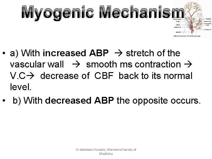 Myogenic Mechanism • a) With increased ABP stretch of the vascular wall smooth ms