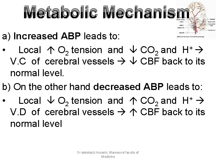 Metabolic Mechanism a) Increased ABP leads to: • Local O 2 tension and CO