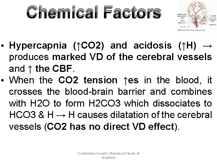 Chemical Factors • Hypercapnia (↑CO 2) and acidosis (↑H) → produces marked VD of