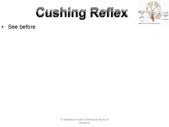 Cushing Reflex • See before Dr abdelaziz Hussein, Mansoura Faculty of Medicine 