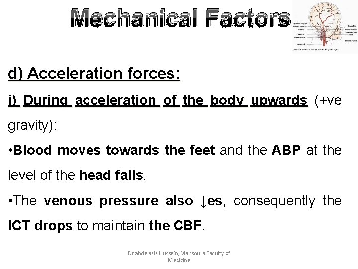 Mechanical Factors d) Acceleration forces: i) During acceleration of the body upwards (+ve gravity):