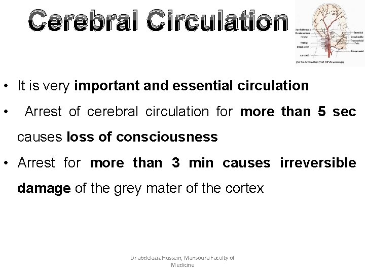 Cerebral Circulation • It is very important and essential circulation • Arrest of cerebral