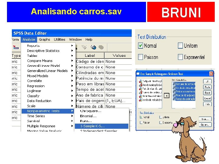 Analisando carros. sav BRUNI 