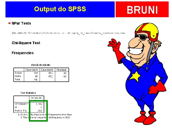 Output do SPSS BRUNI 
