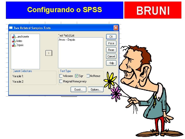 Configurando o SPSS BRUNI 