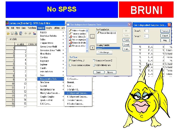 No SPSS BRUNI 