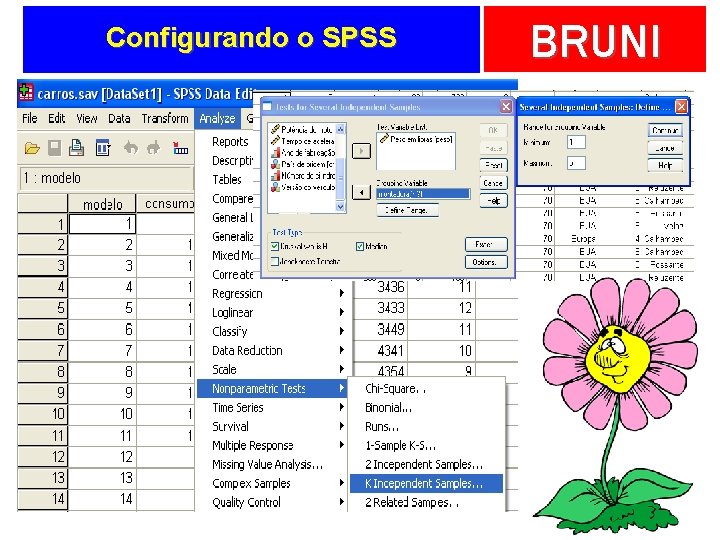 Configurando o SPSS BRUNI 