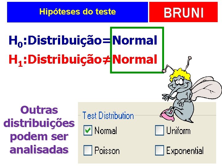 Hipóteses do teste H 0: Distribuição=Normal H 1: Distribuição≠Normal Outras distribuições podem ser analisadas