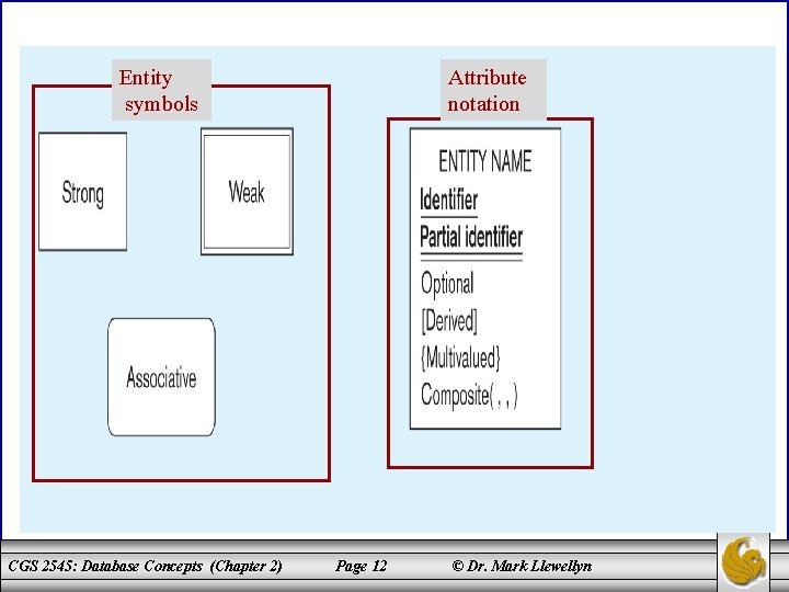 Entity symbols CGS 2545: Database Concepts (Chapter 2) Attribute notation Page 12 © Dr.