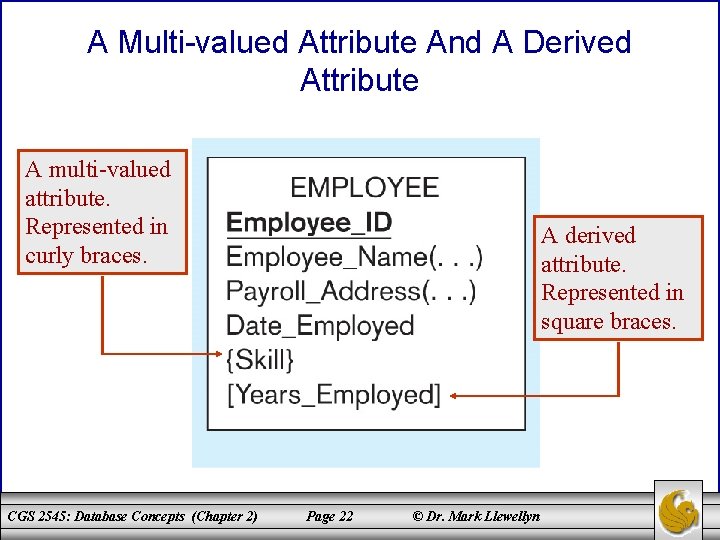 A Multi-valued Attribute And A Derived Attribute A multi-valued attribute. Represented in curly braces.