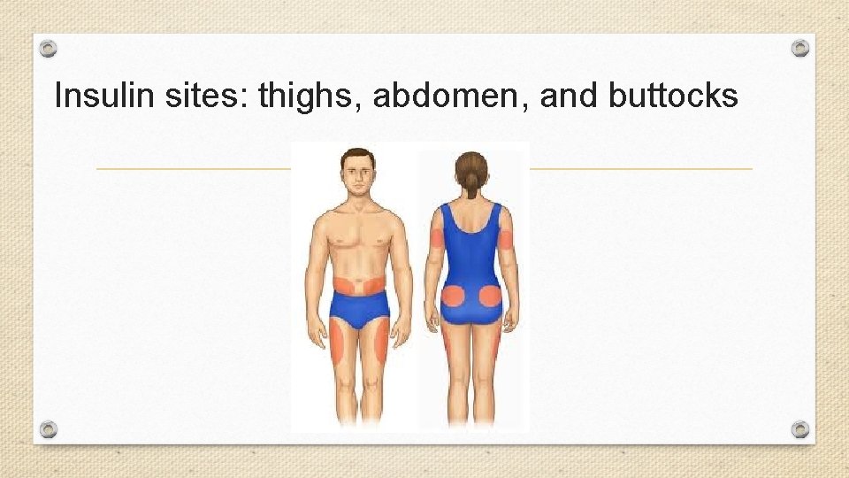 Insulin sites: thighs, abdomen, and buttocks 