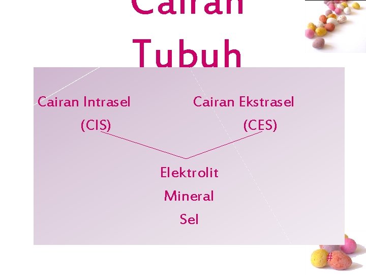 Cairan Tubuh Cairan Intrasel (CIS) Cairan Ekstrasel (CES) Elektrolit Mineral Sel # 