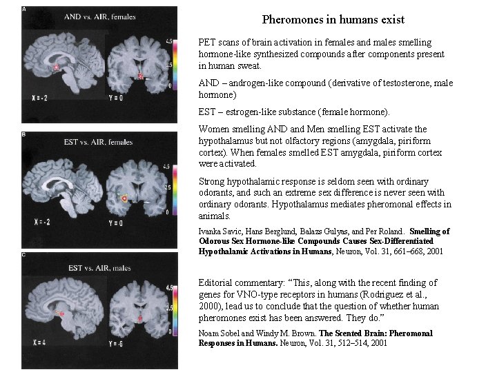 Pheromones in humans exist PET scans of brain activation in females and males smelling