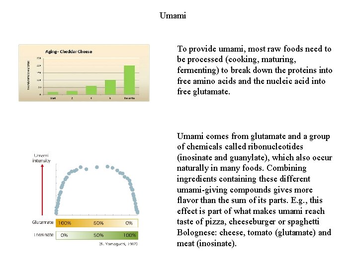 Umami To provide umami, most raw foods need to be processed (cooking, maturing, fermenting)