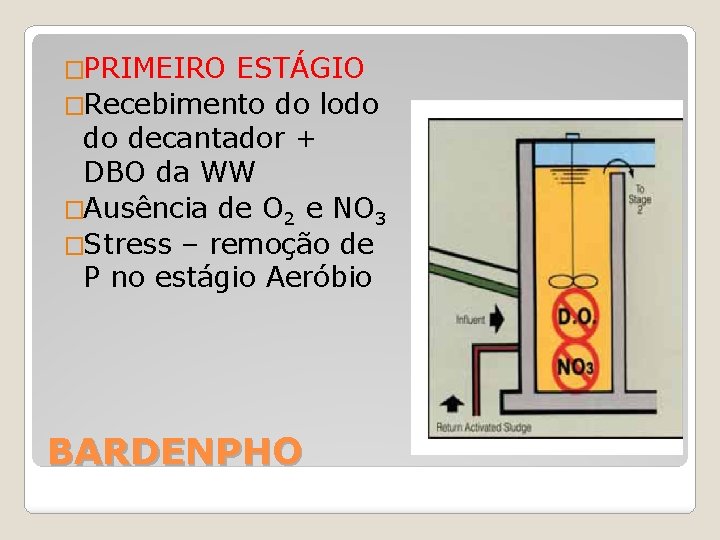 �PRIMEIRO ESTÁGIO �Recebimento do lodo do decantador + DBO da WW �Ausência de O