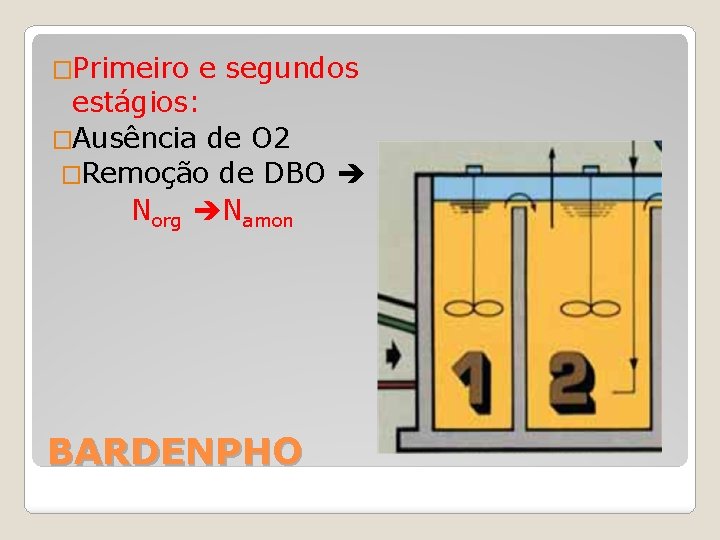 �Primeiro e segundos estágios: �Ausência de O 2 �Remoção de DBO Norg Namon BARDENPHO