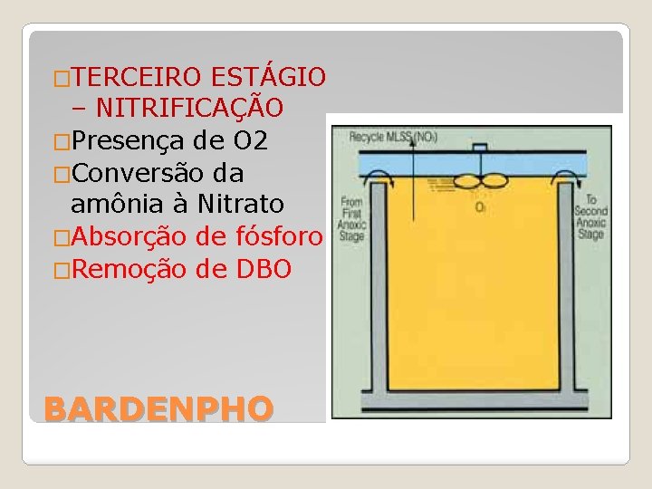 �TERCEIRO ESTÁGIO – NITRIFICAÇÃO �Presença de O 2 �Conversão da amônia à Nitrato �Absorção