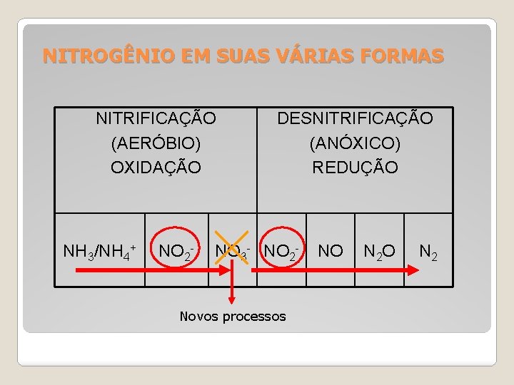 NITROGÊNIO EM SUAS VÁRIAS FORMAS NITRIFICAÇÃO (AERÓBIO) OXIDAÇÃO NH 3/NH 4+ NO 2 -