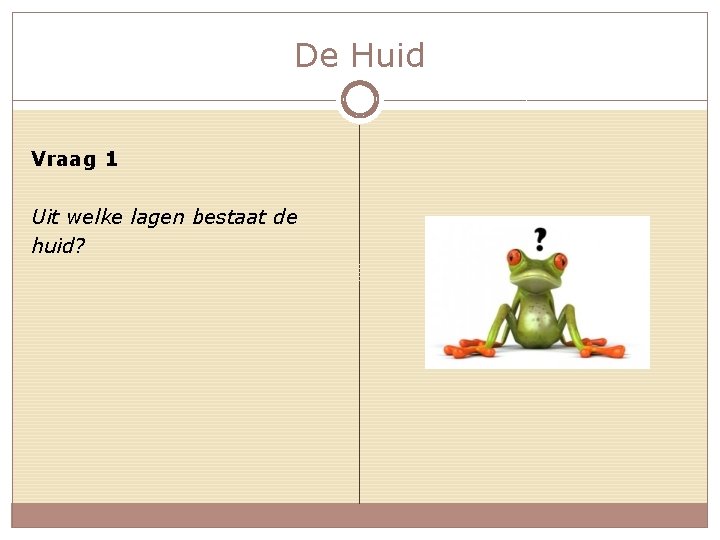 De Huid Vraag 1 Uit welke lagen bestaat de huid? 