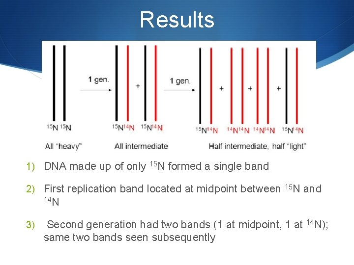 Results 1) DNA made up of only 15 N formed a single band 2)
