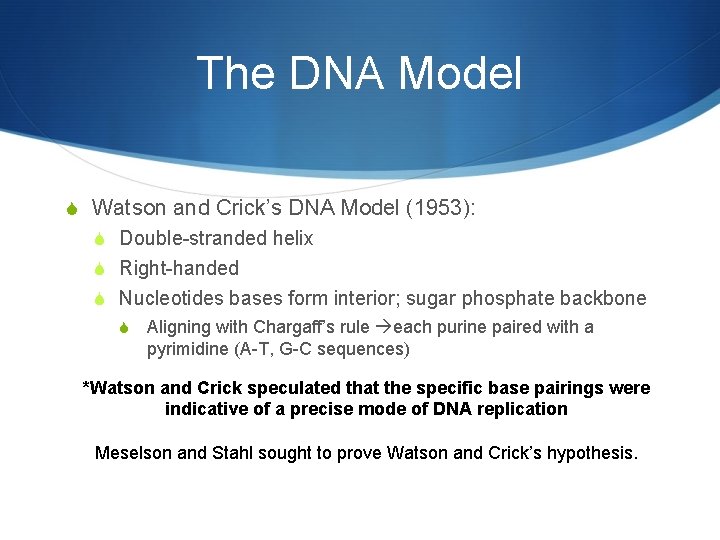 The DNA Model S Watson and Crick’s DNA Model (1953): S Double-stranded helix S