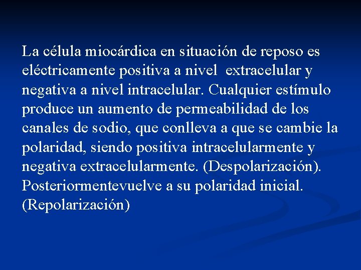 La célula miocárdica en situación de reposo es eléctricamente positiva a nivel extracelular y